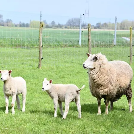 In By The * نيوبورت