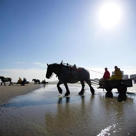 In By The * نيوبورت