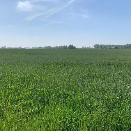 In By The نيوبورت