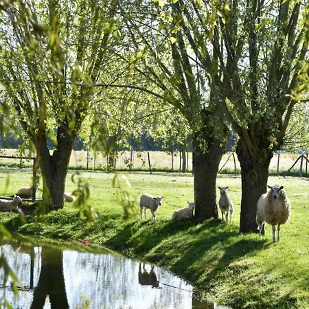 In By The شقة نيوبورت